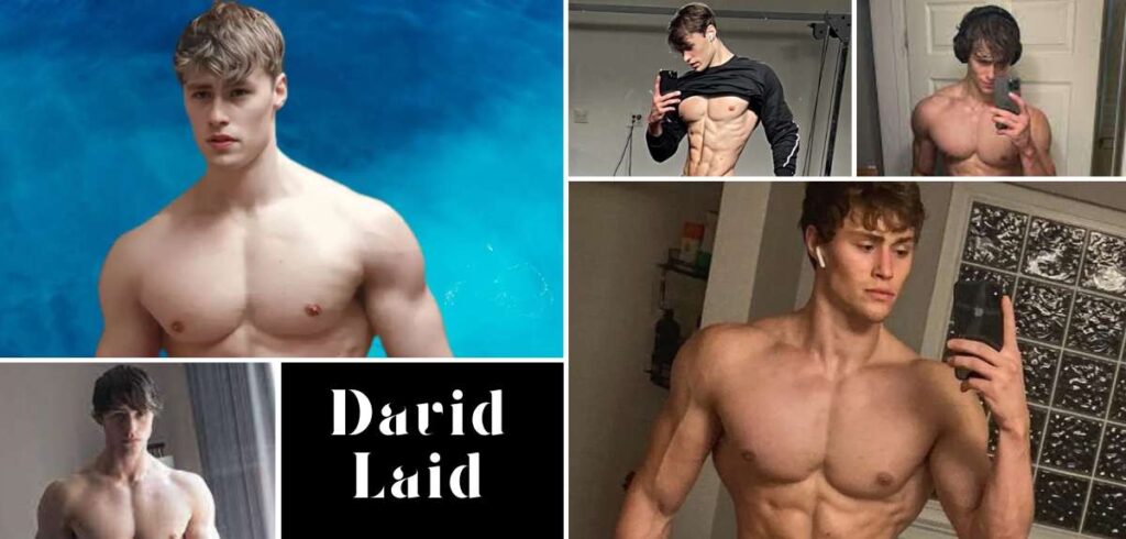 David Laid